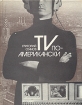TV по-американски